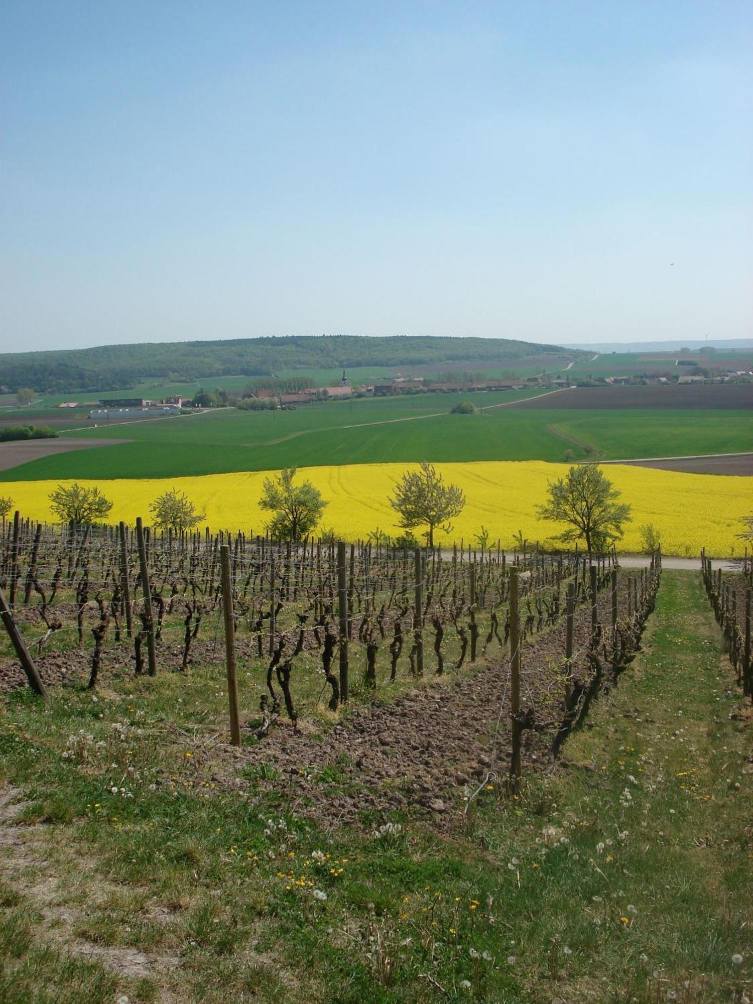 Landgasthof Zum Schwarzen Adler Markt Nordheim Luaran gambar