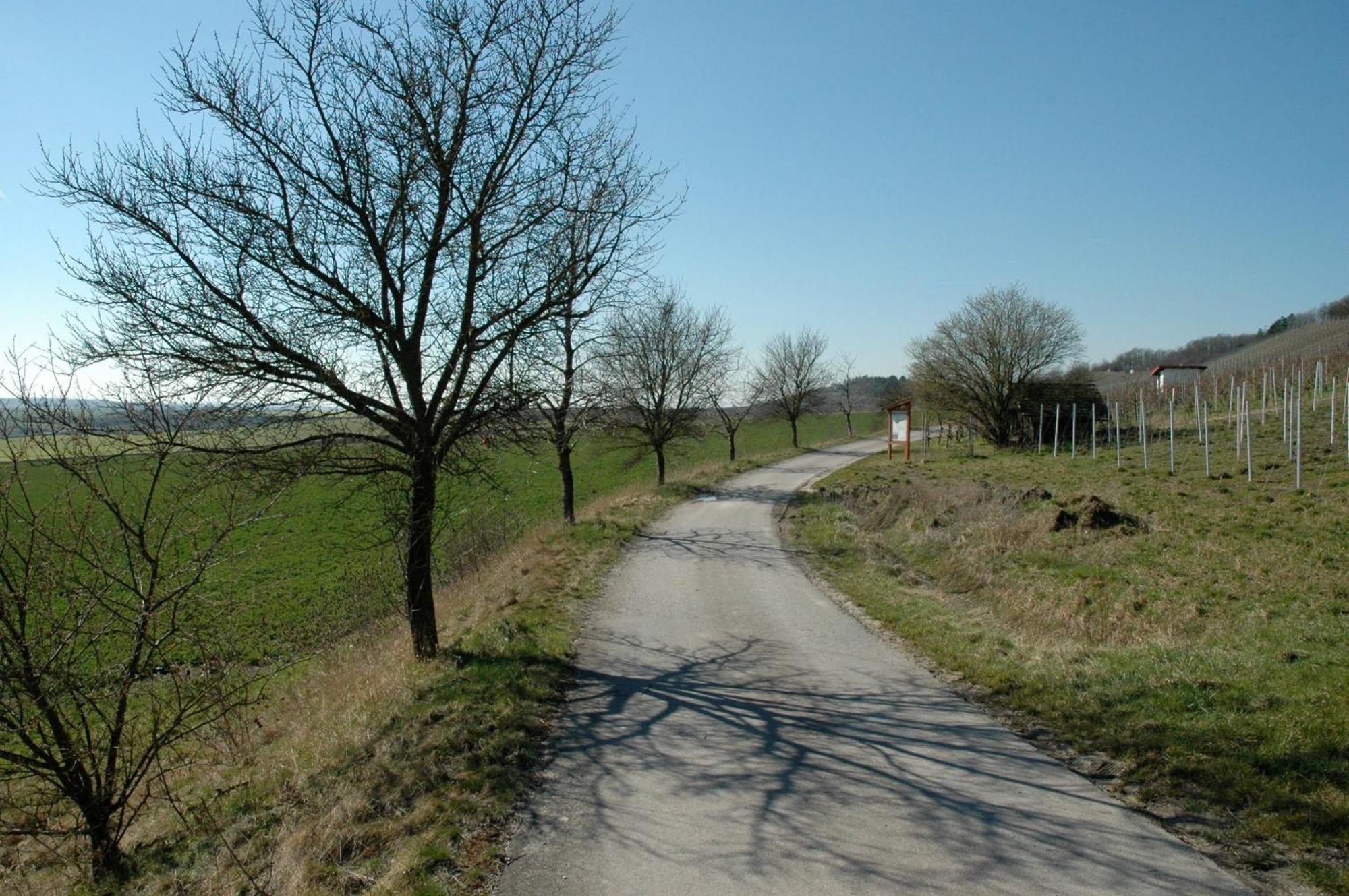 Landgasthof Zum Schwarzen Adler Markt Nordheim Luaran gambar